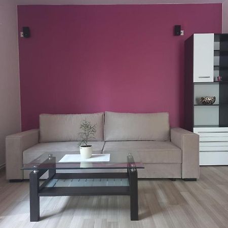 Apartament Zosia Korczyna  Zewnętrze zdjęcie